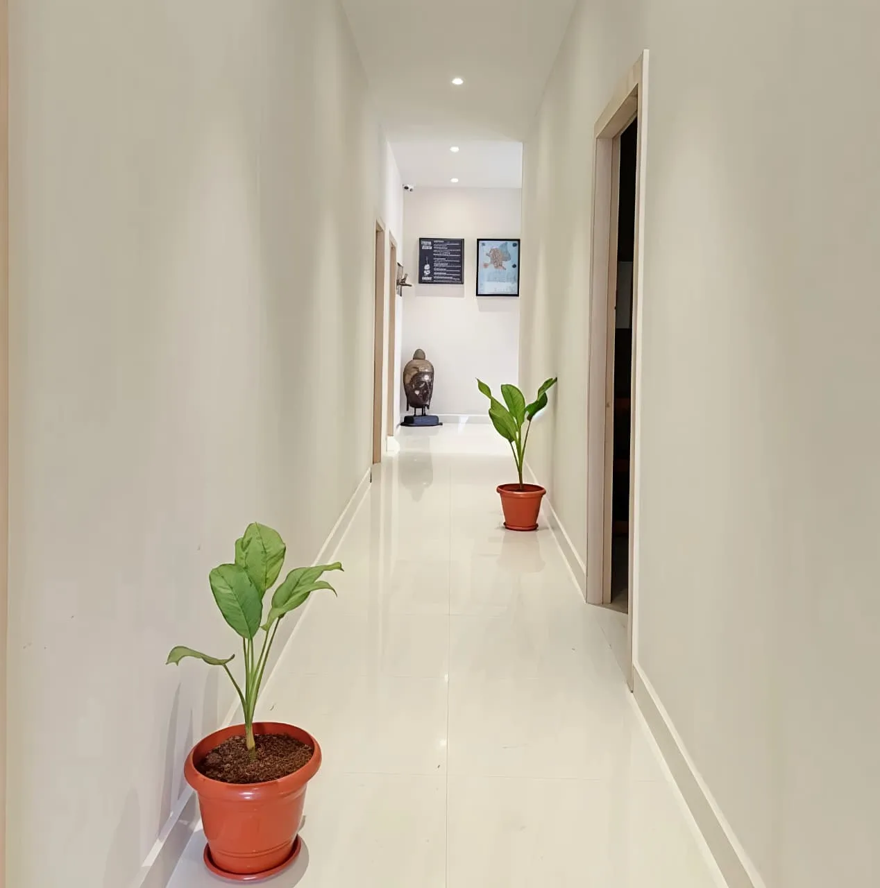 Meghavi Wellness Spa | Clarion Hotel